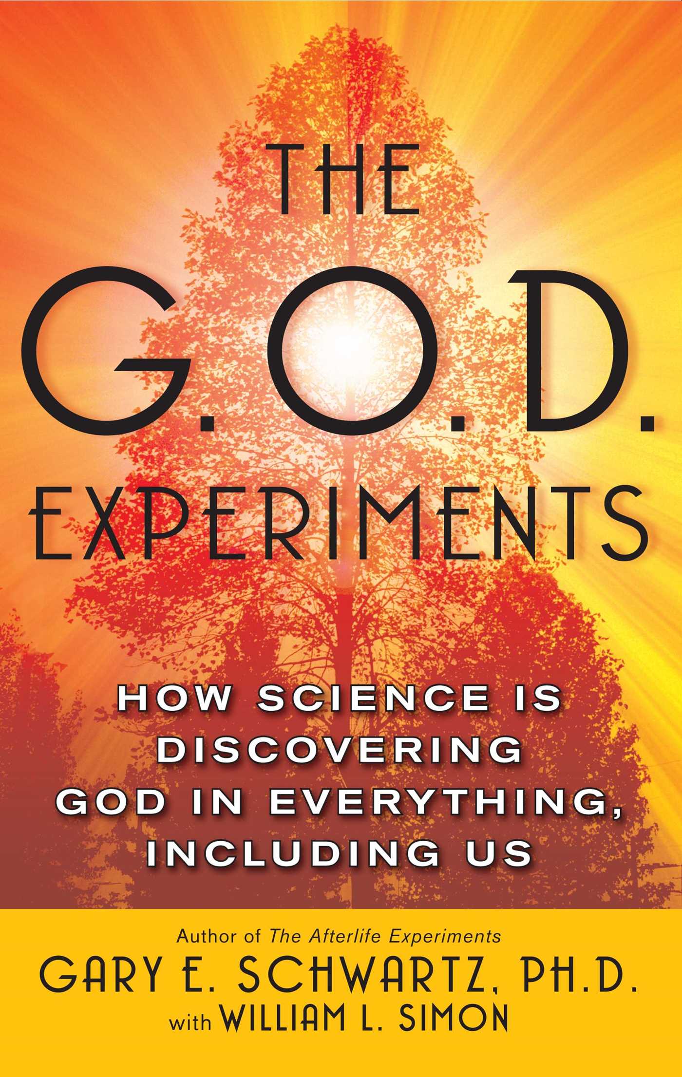 The G.O.D. Experiments  How Science Is Discovering God In Everything, Including Us