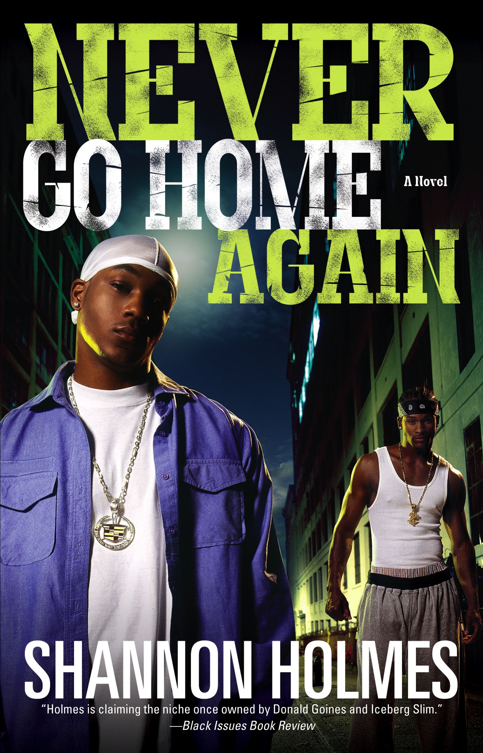 Never Go Home Again A Novel