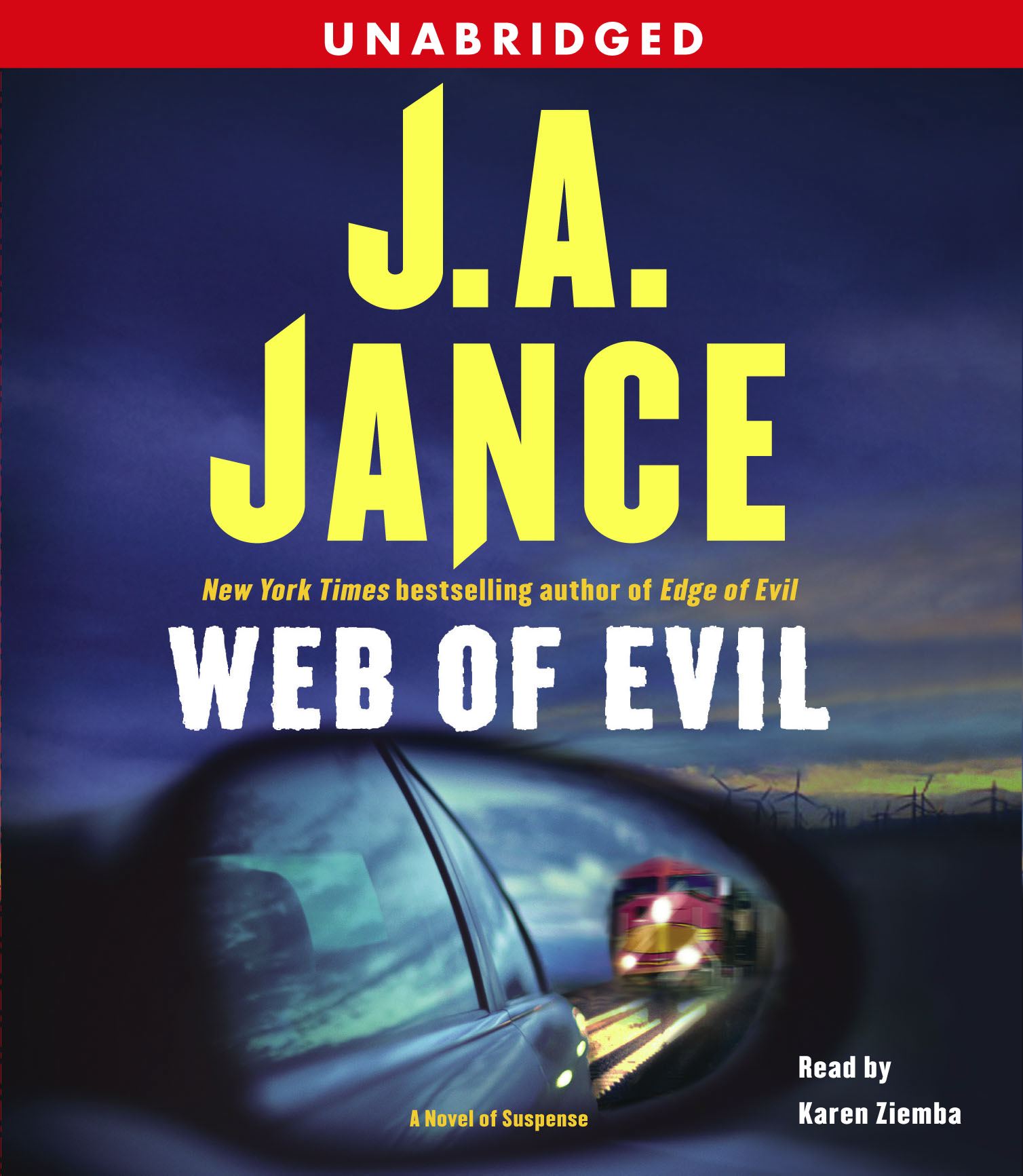 Web of Evil A Novel of Suspense