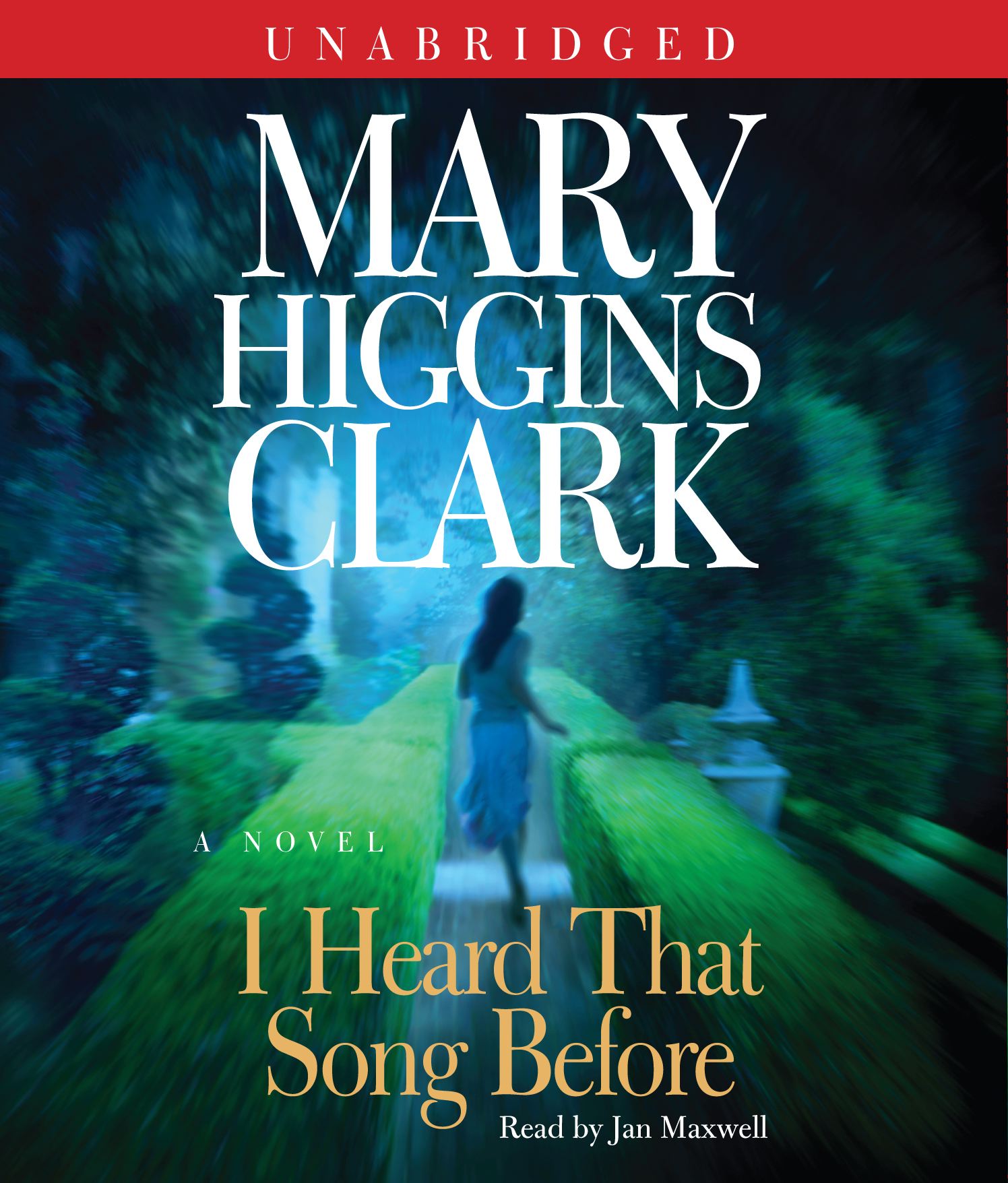 I Heard That Song Before A Novel