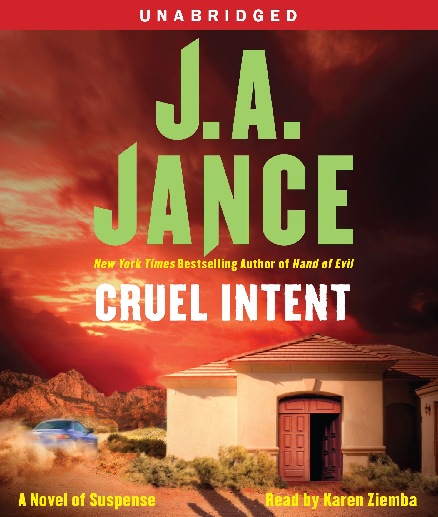 Cruel Intent A Novel of Suspense