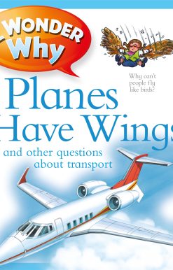 I Wonder Why Planes Have Wings