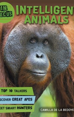 In Focus: Intelligent Animals