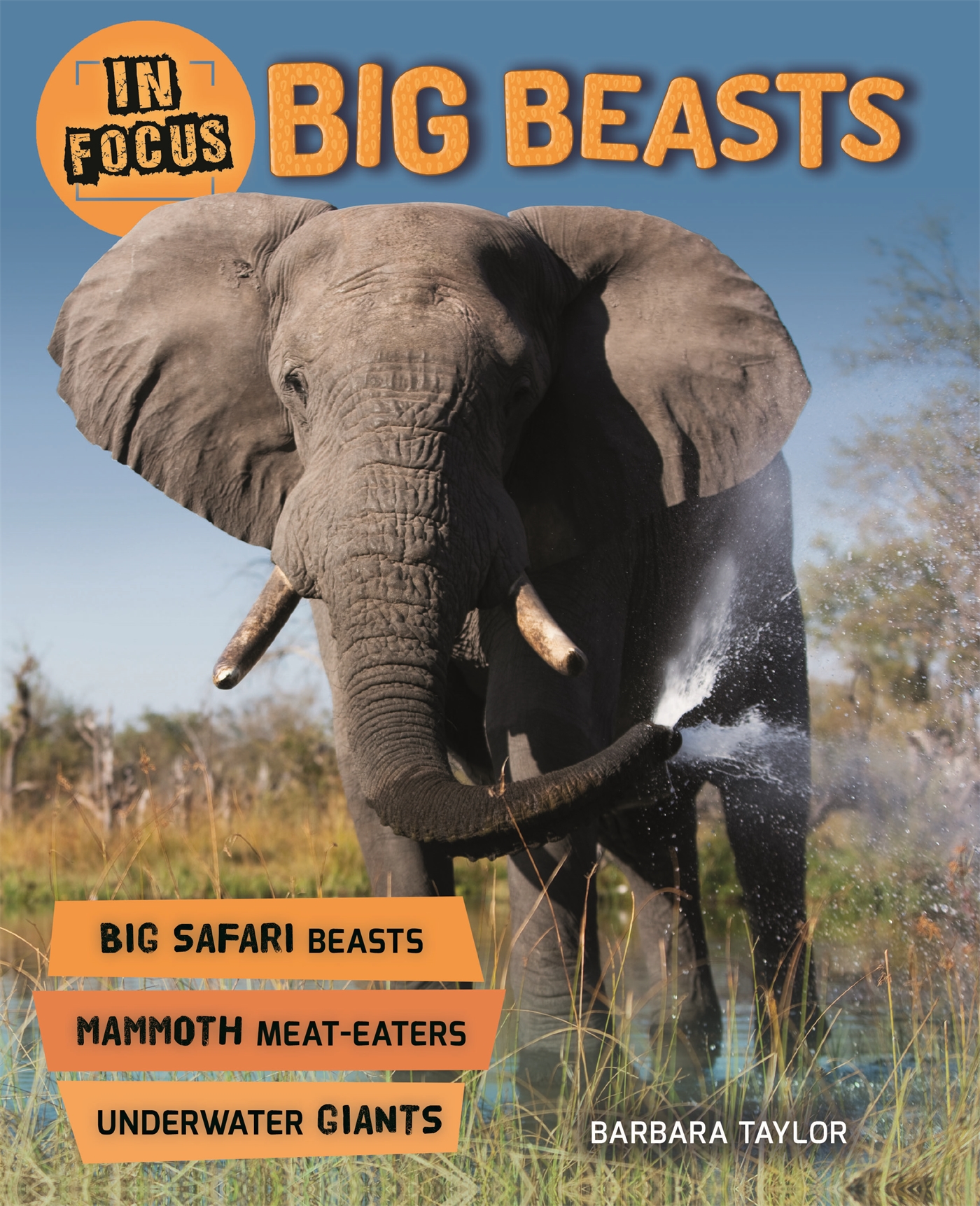 In Focus: Big Beasts 1 In Focus: Big Beasts
