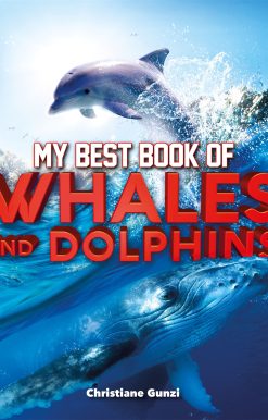 My Best Books of Whales and Dolphins