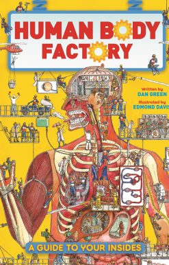 The Human Body Factory