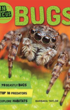 In Focus: Bugs