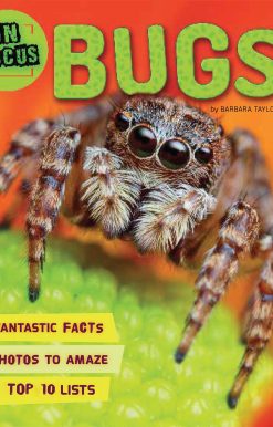In Focus: Bugs
