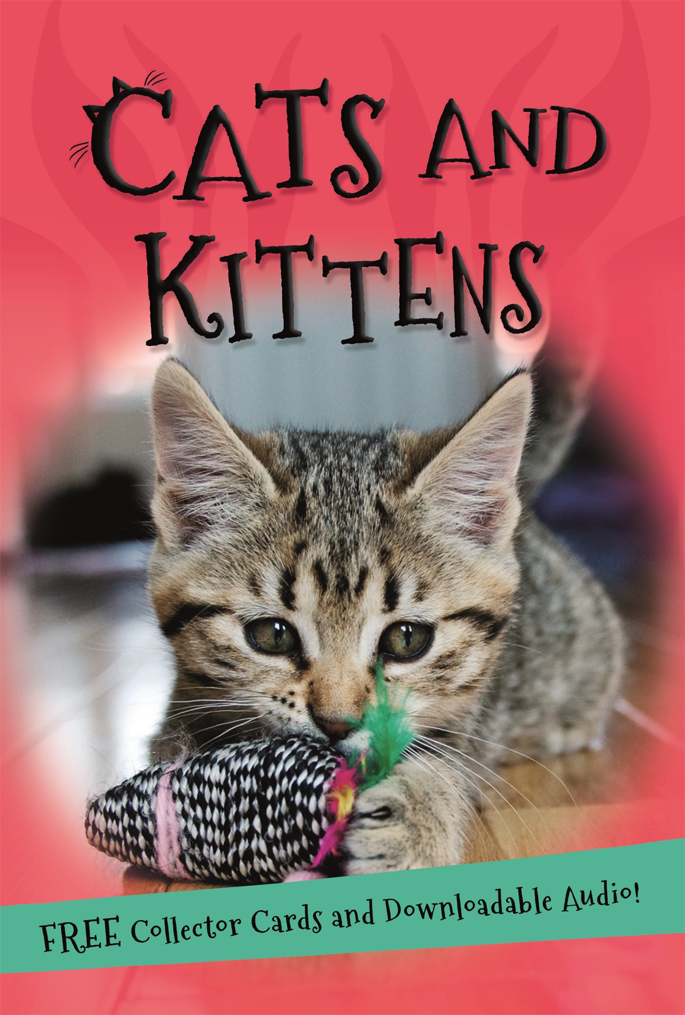 It's All About.. It's All About... Cats and Kittens