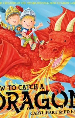 How To Catch a Dragon