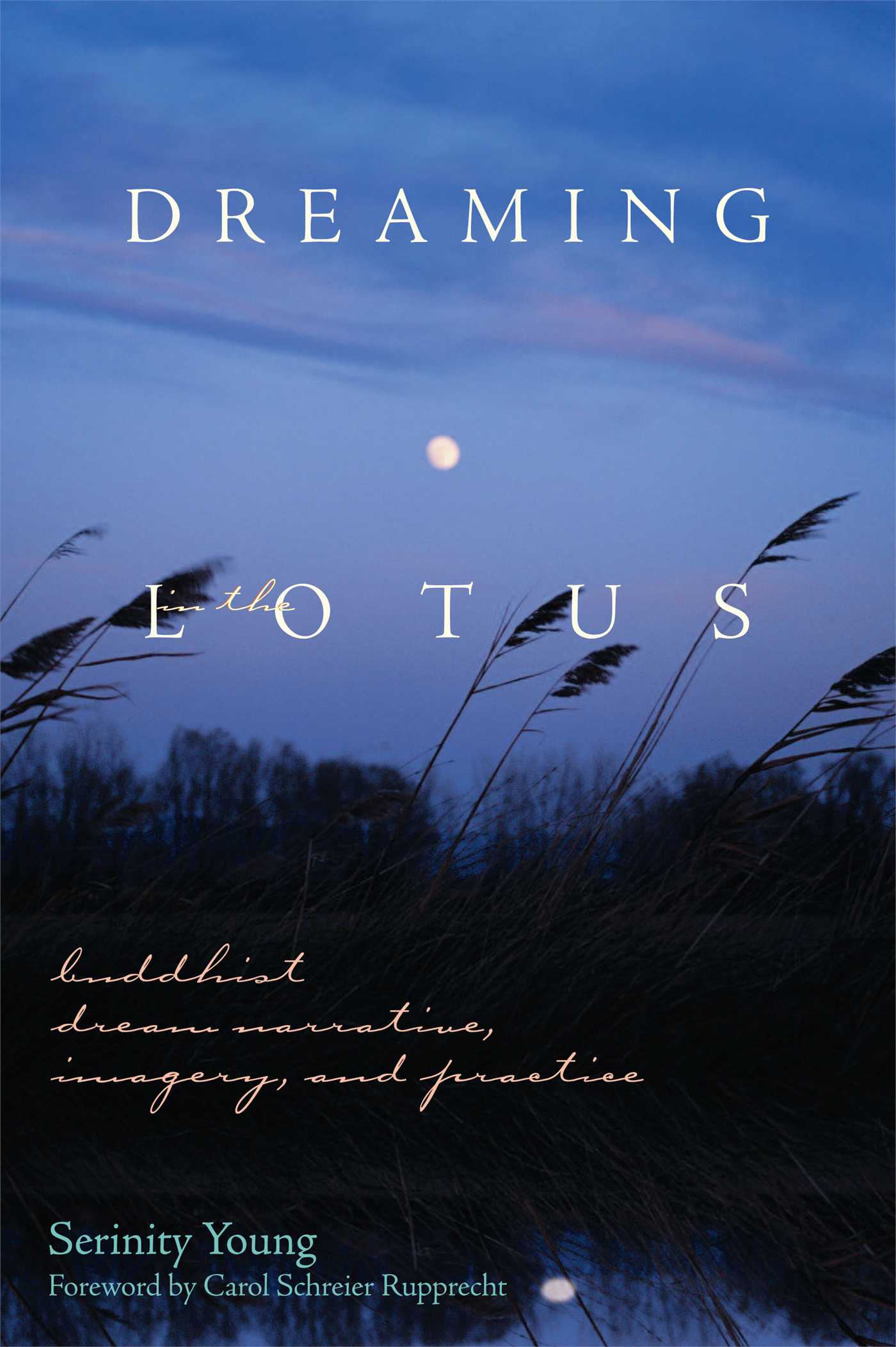 Dreaming in the Lotus Buddhist Dream Narrative, Imagery, and Practice