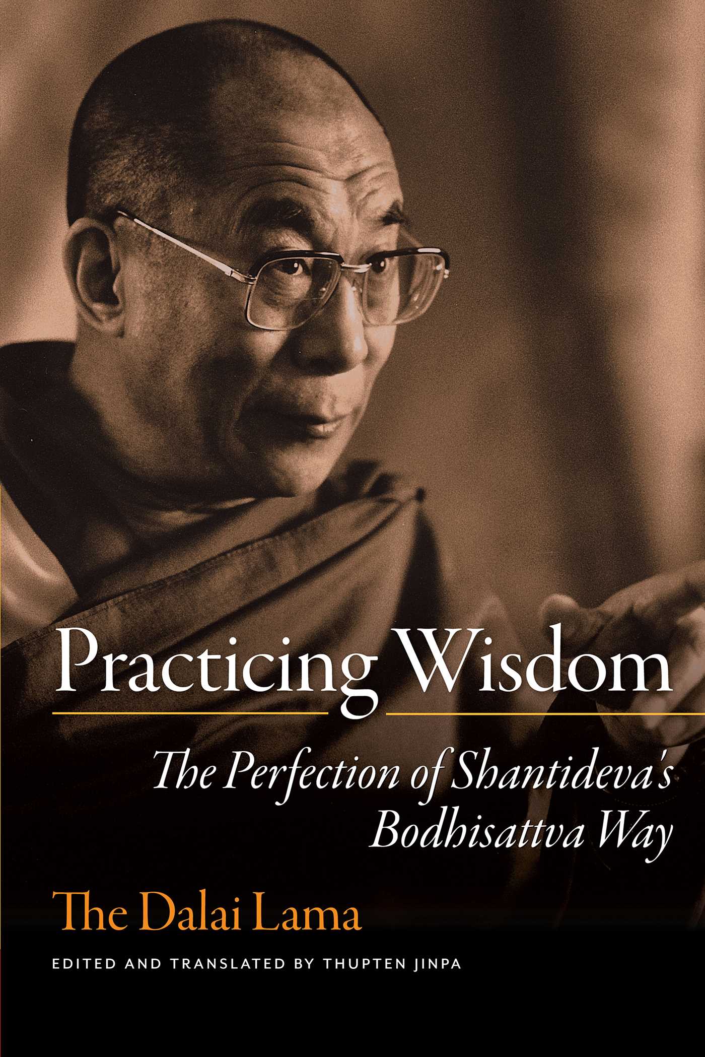 Practicing Wisdom The Perfection of Shantideva's Bodhisattva Way