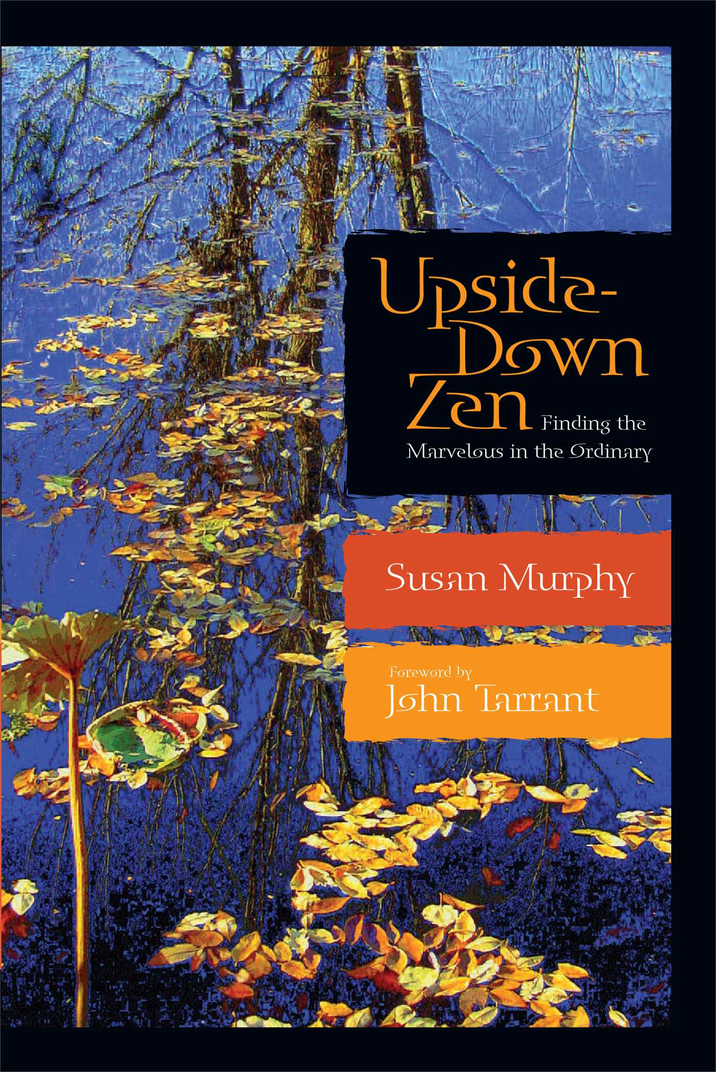 Upside-Down Zen Finding the Marvelous in the Ordinary