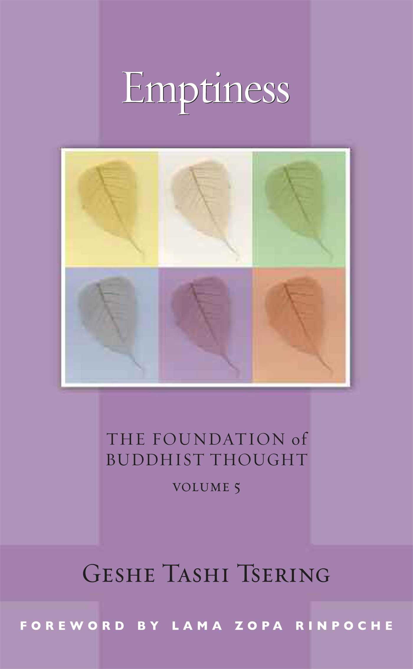 Emptiness The Foundation of Buddhist Thought, Volume 5