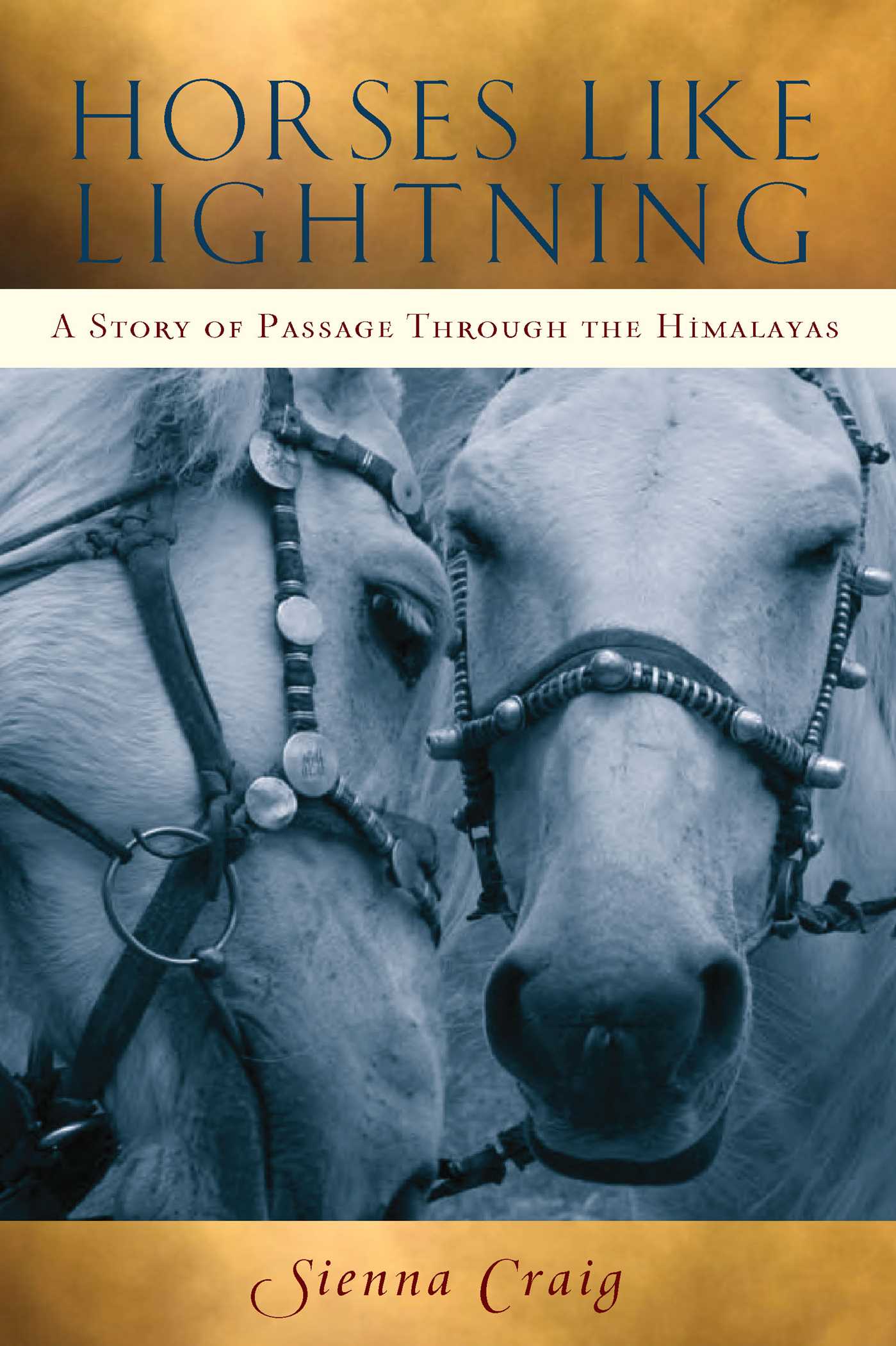 Horses Like Lightning A Story of Passage Through the Himalayas