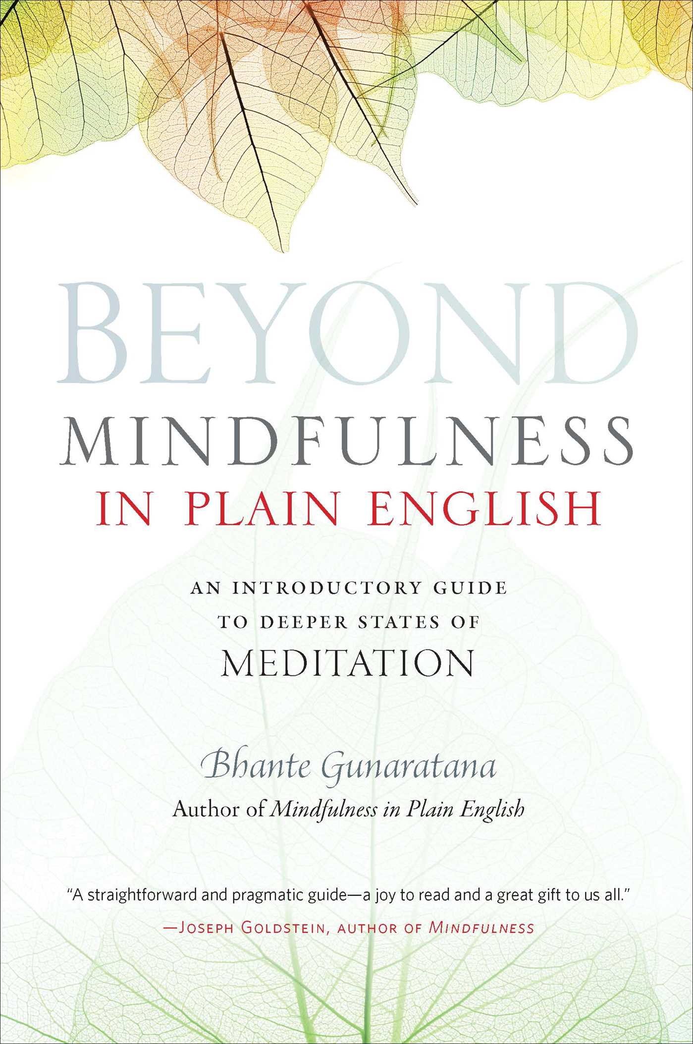 Beyond Mindfulness in Plain English An Introductory guide to Deeper States of Meditation