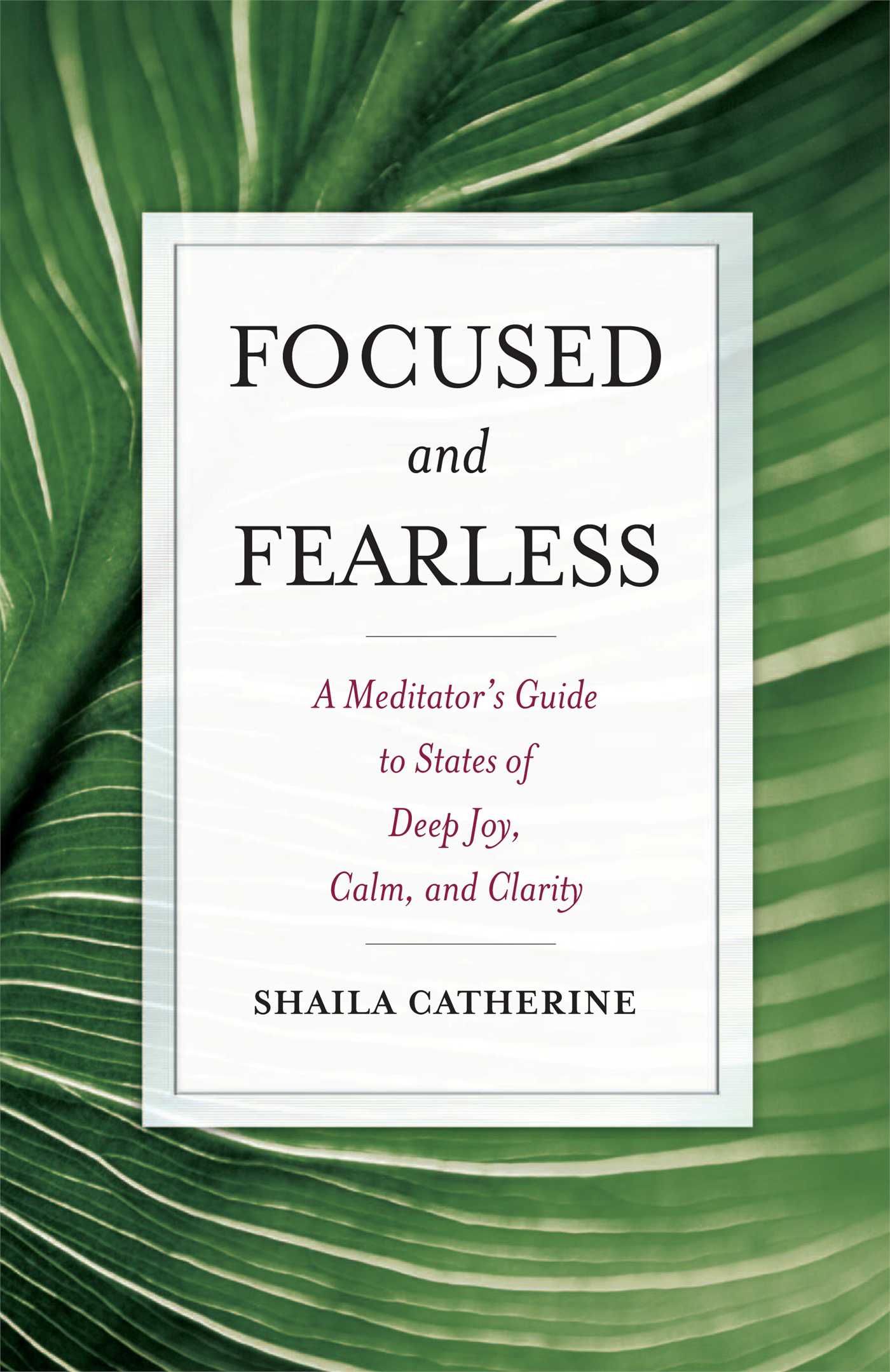 Focused and Fearless A Meditator's Guide to States of Deep Joy, Calm, and Clarity