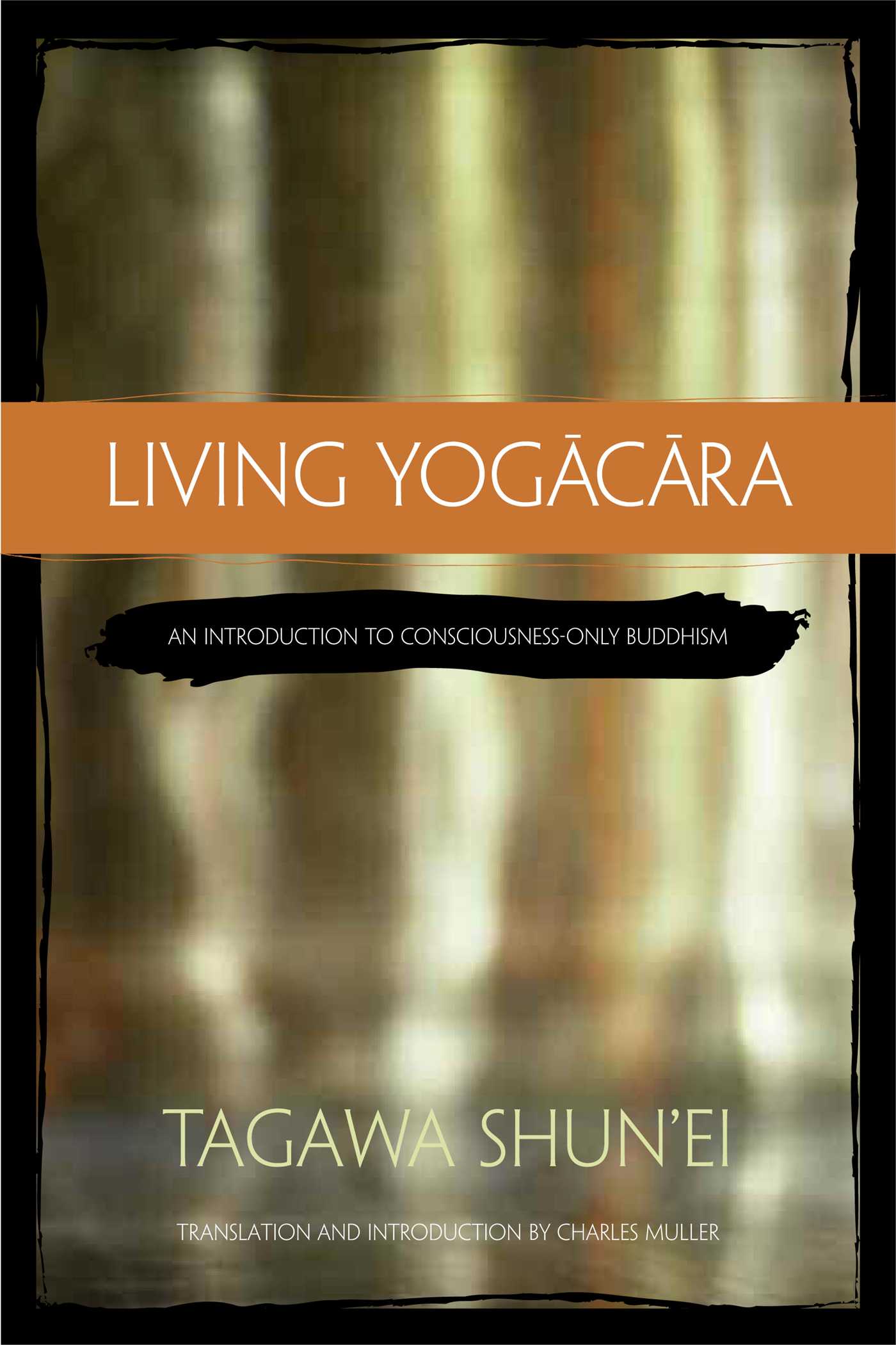 Living Yogacara An Introduction to Consciousness-Only Buddhism
