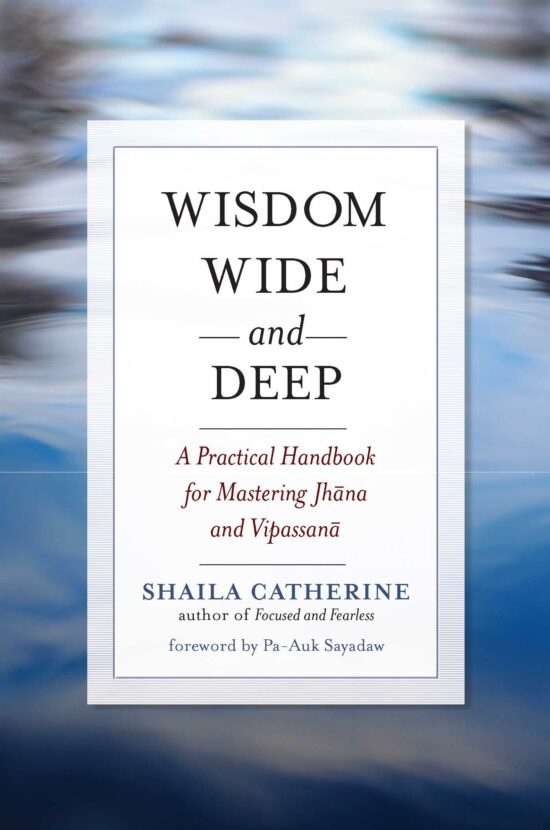 Wisdom Wide and Deep A Practical Handbook for Mastering Jhana and Vipassana
