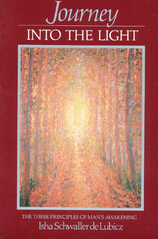 Journey into the Light The Three Principles of Man's Awakening