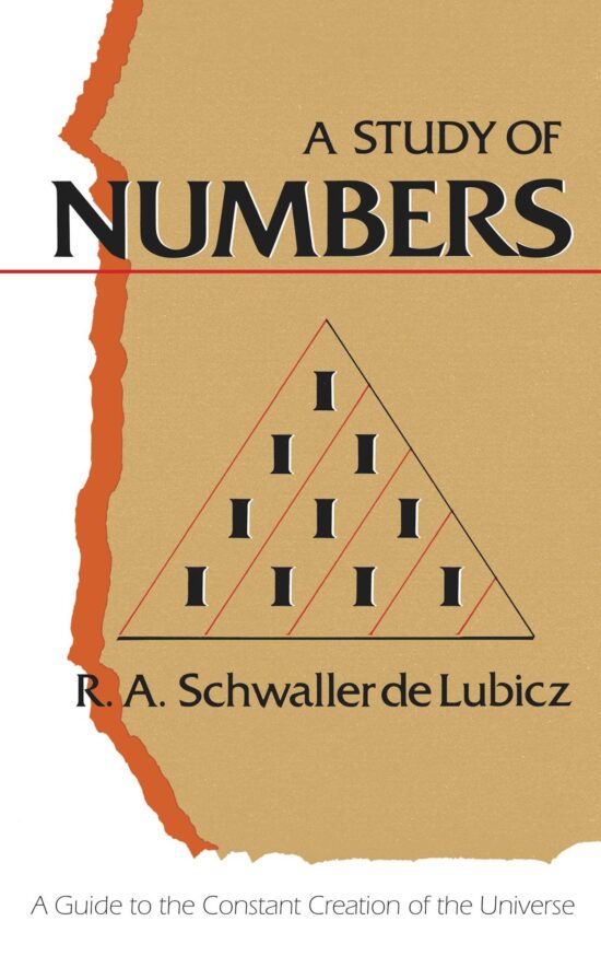 A Study of Numbers  A Guide to the Constant Creation of the Universe