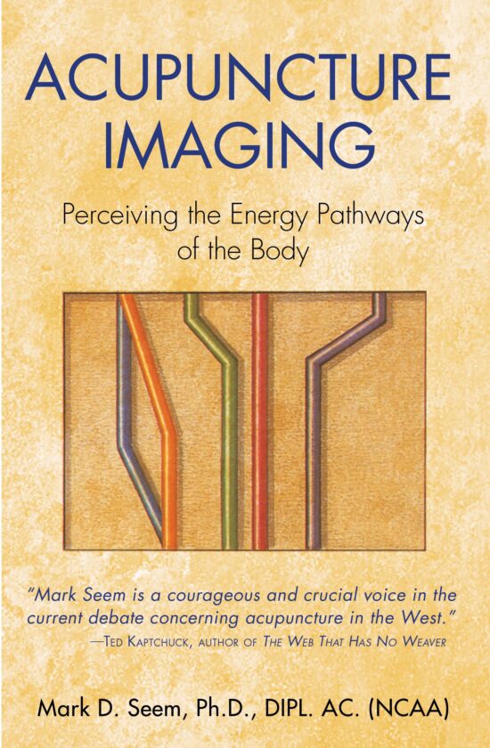 Acupuncture Imaging Perceiving the Energy Pathways of the Body