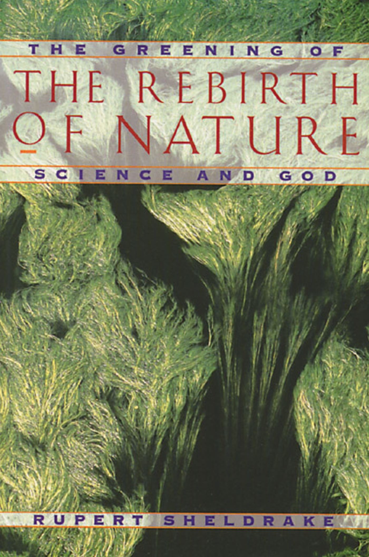 The Rebirth of Nature  The Greening of Science and God