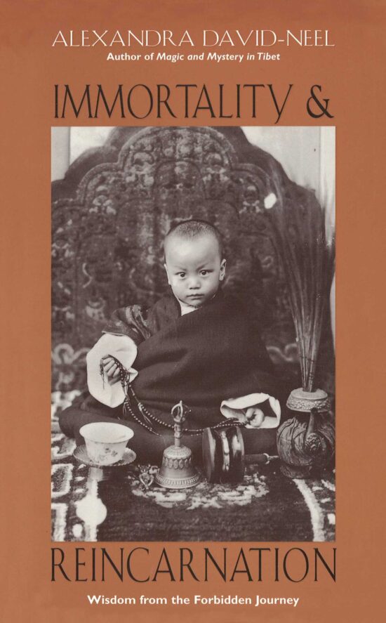 Immortality and Reincarnation Wisdom from the Forbidden Journey