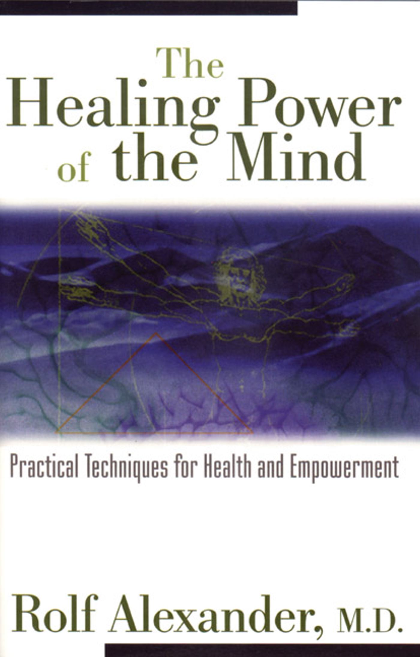 The Healing Power of the Mind  Practical Techniques for Health and Empowerment