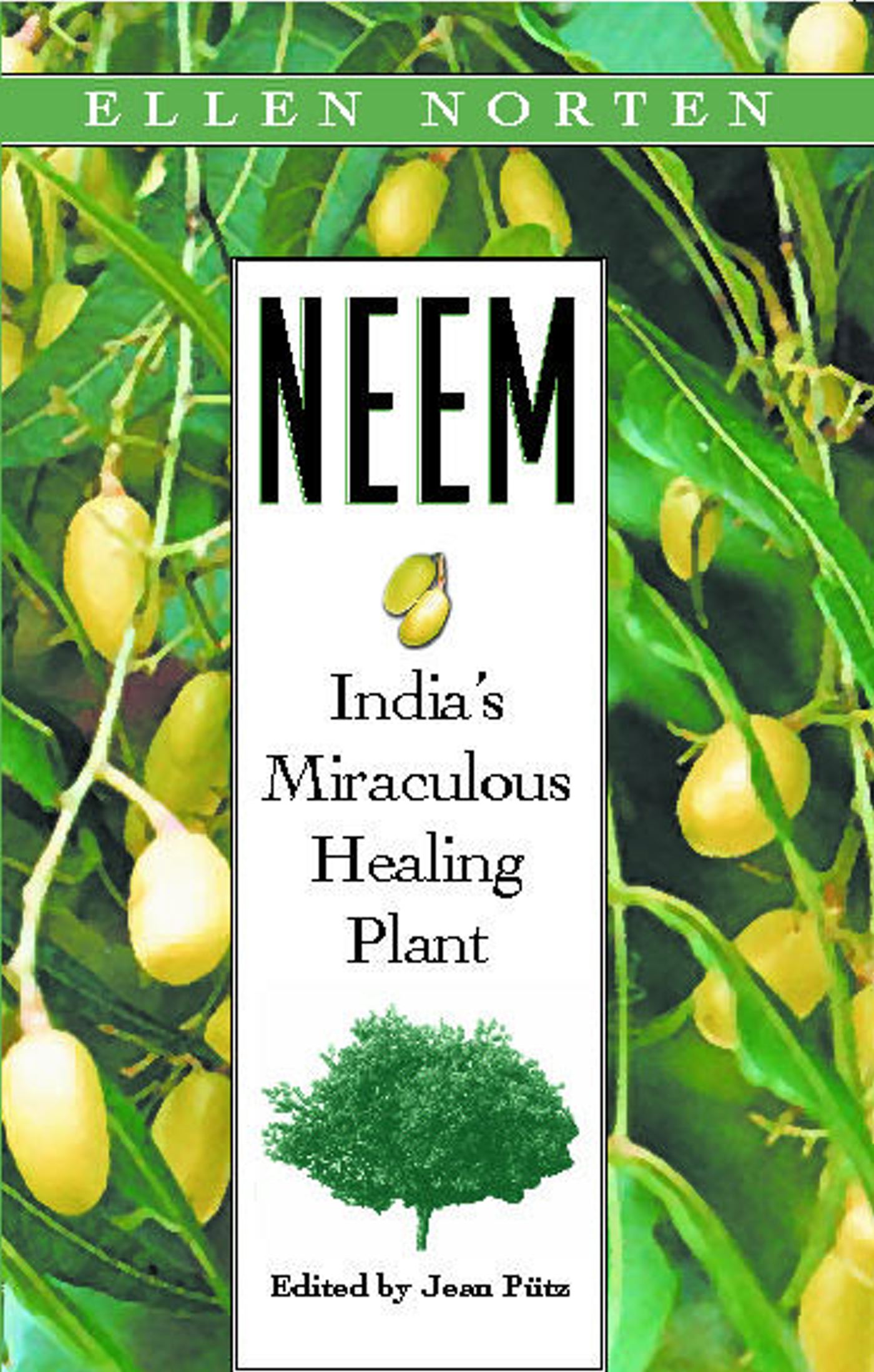 Neem India's Miraculous Healing Plant