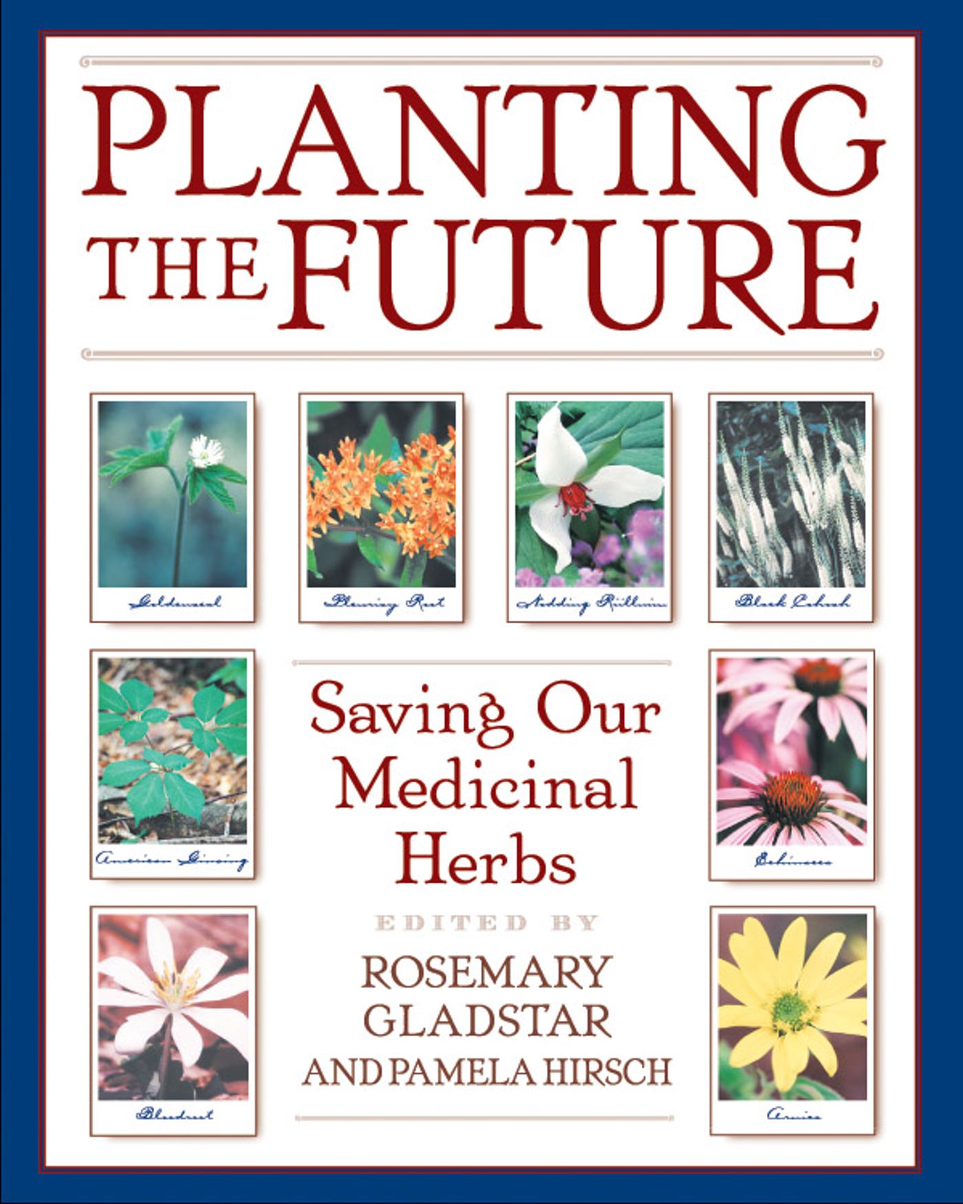 Planting the Future Saving Our Medicinal Herbs
