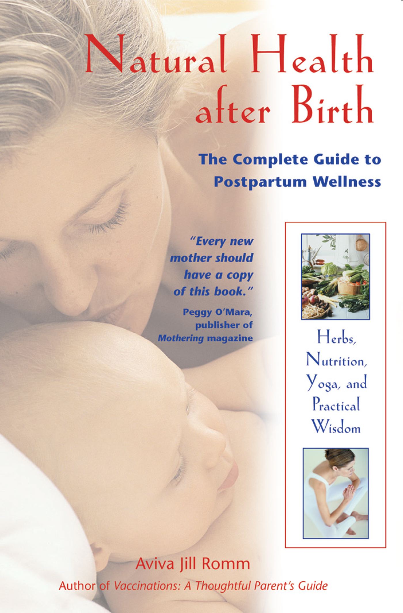 Natural Health after Birth The Complete Guide to Postpartum Wellness