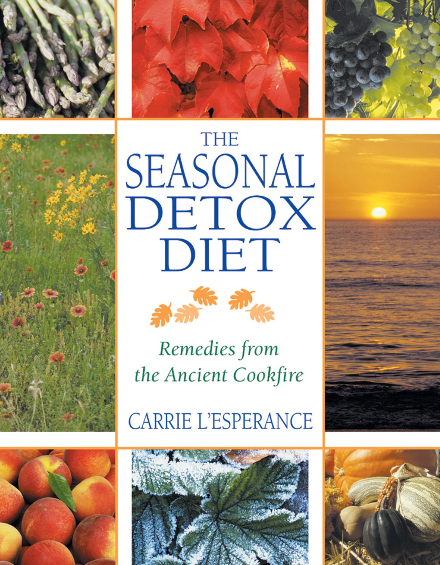 The Seasonal Detox Diet  Remedies from the Ancient Cookfire