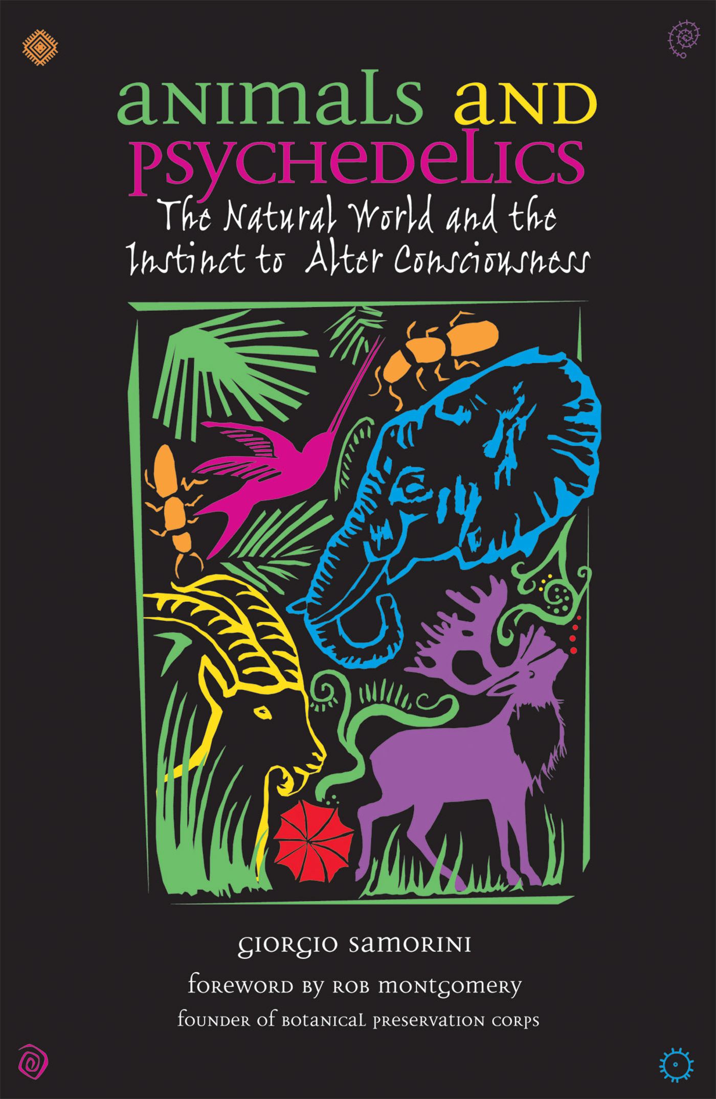 Animals and Psychedelics The Natural World and the Instinct to Alter Consciousness