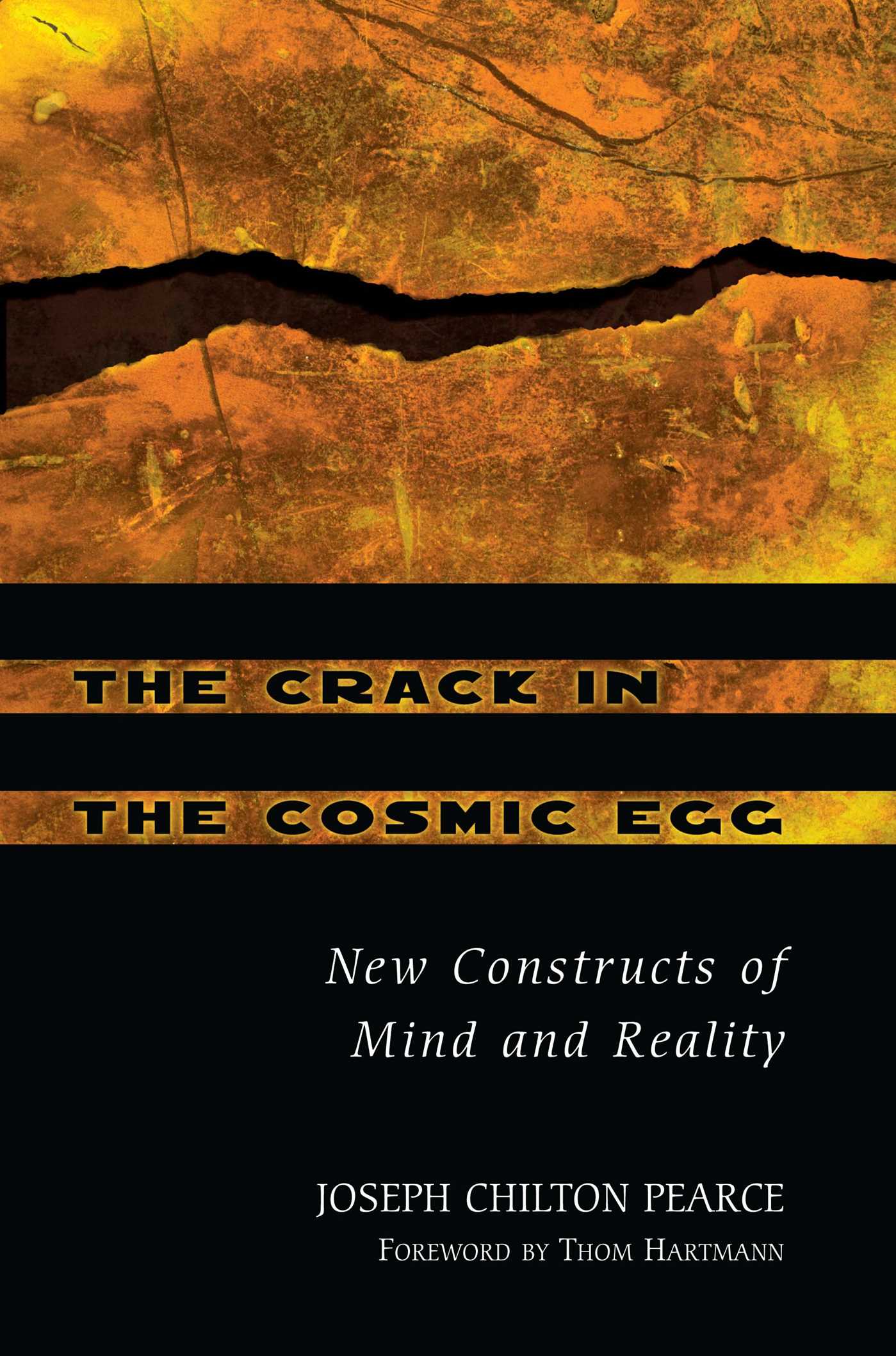 The Crack in the Cosmic Egg  New Constructs of Mind and Reality