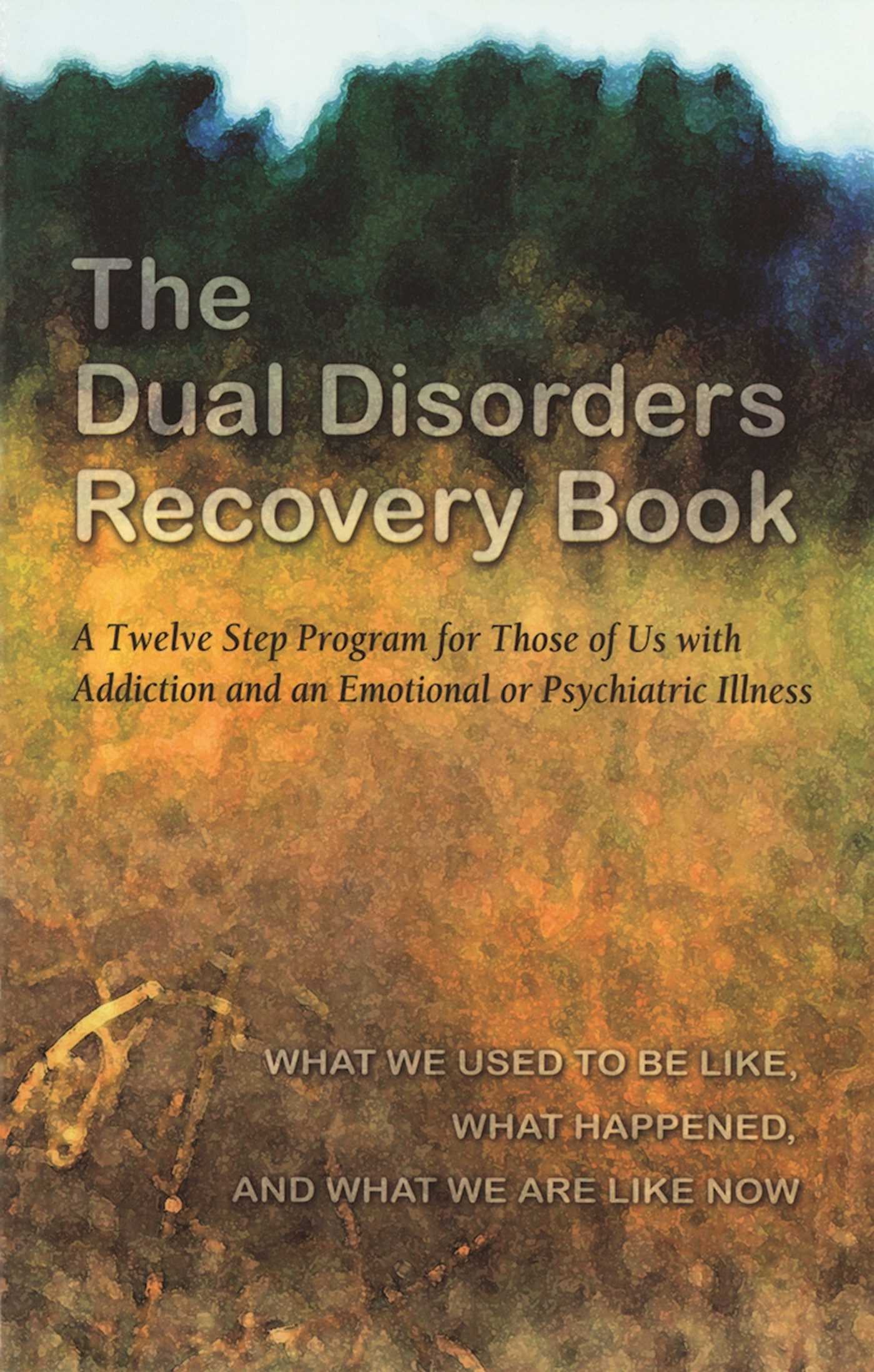The Dual Disorders Recovery Book  A Twelve Step Program for Those of Us with Addiction and an Emotional or Psychiatric Illness