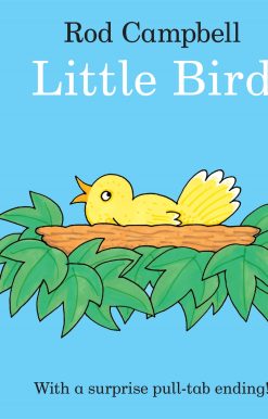 Little Bird