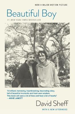 Beautiful Boy (Tie-In) : A Father's Journey Through His Son's Addiction