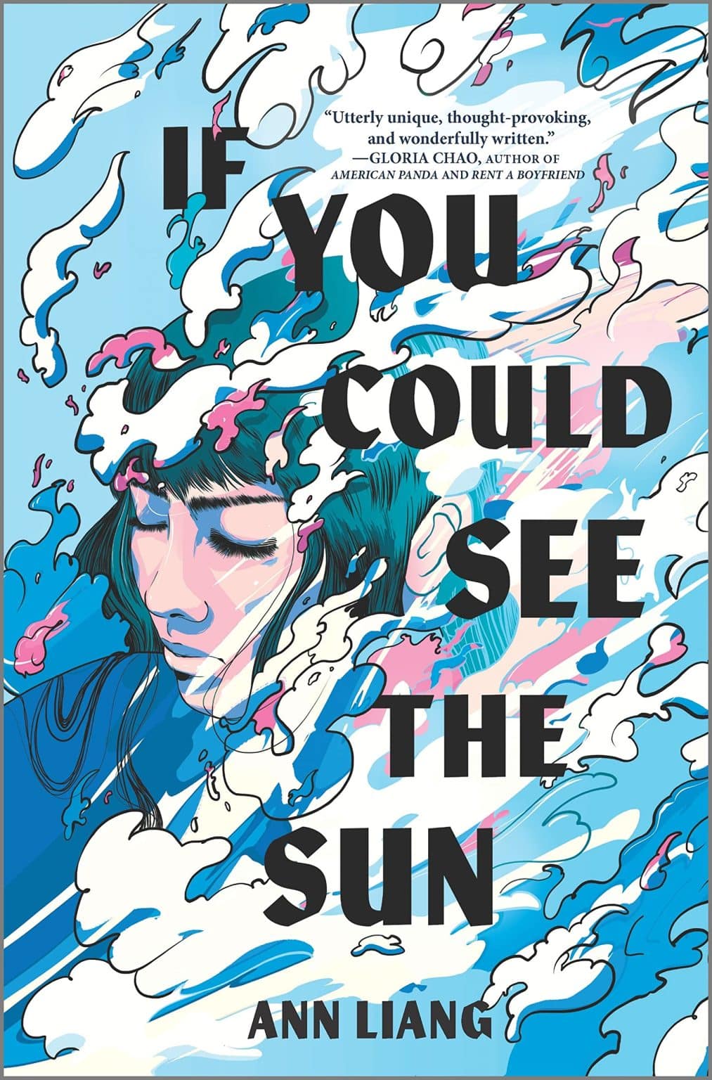 If You Could See the Sun Hardcover