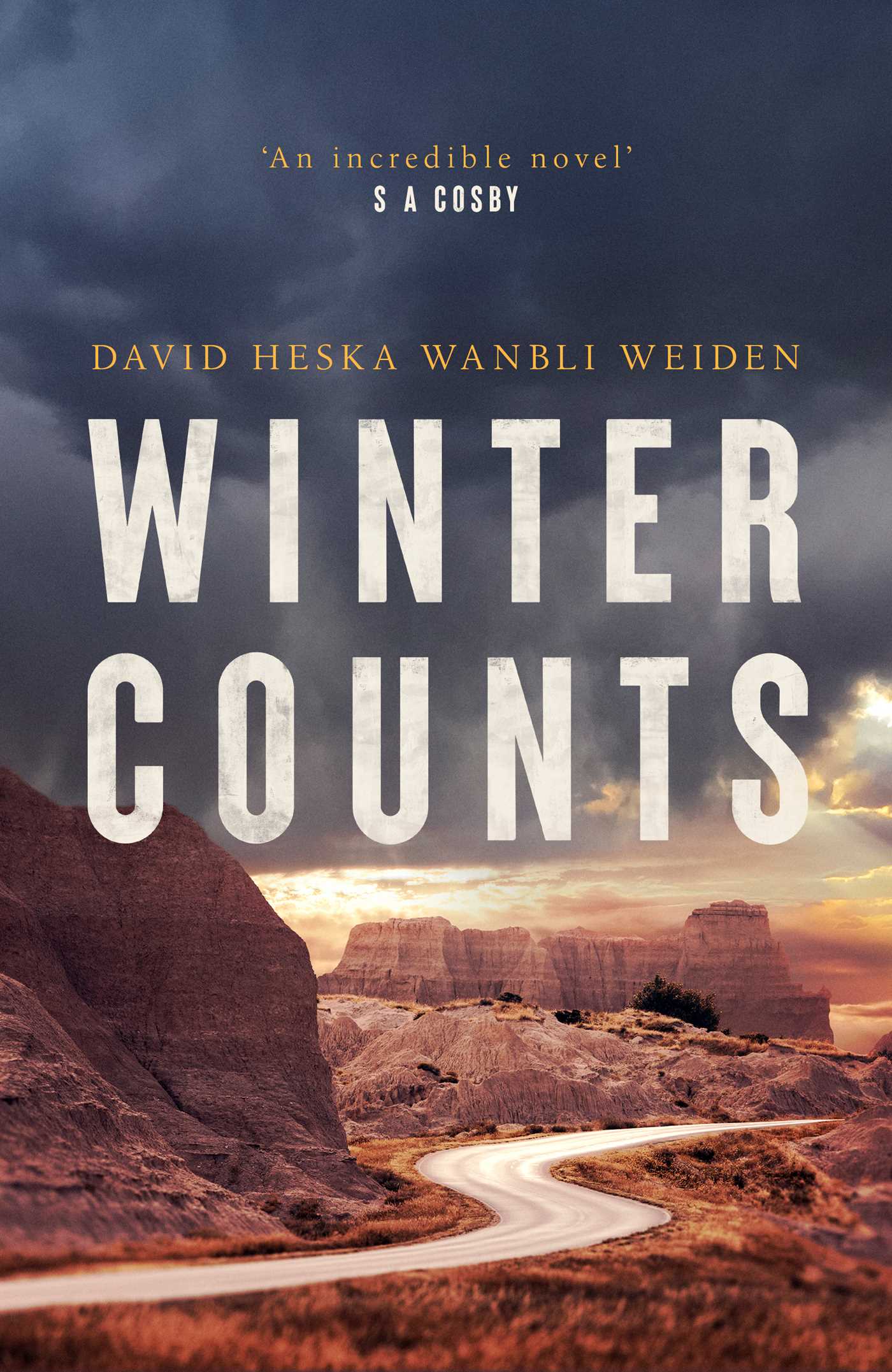 Winter Counts 1 Winter Counts