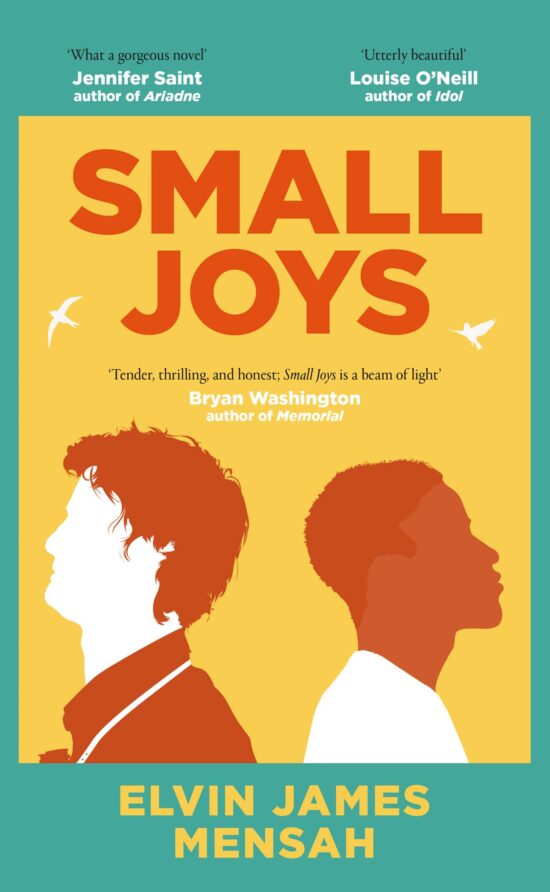 Small Joys: The most moving and uplifting debut novel of 2023