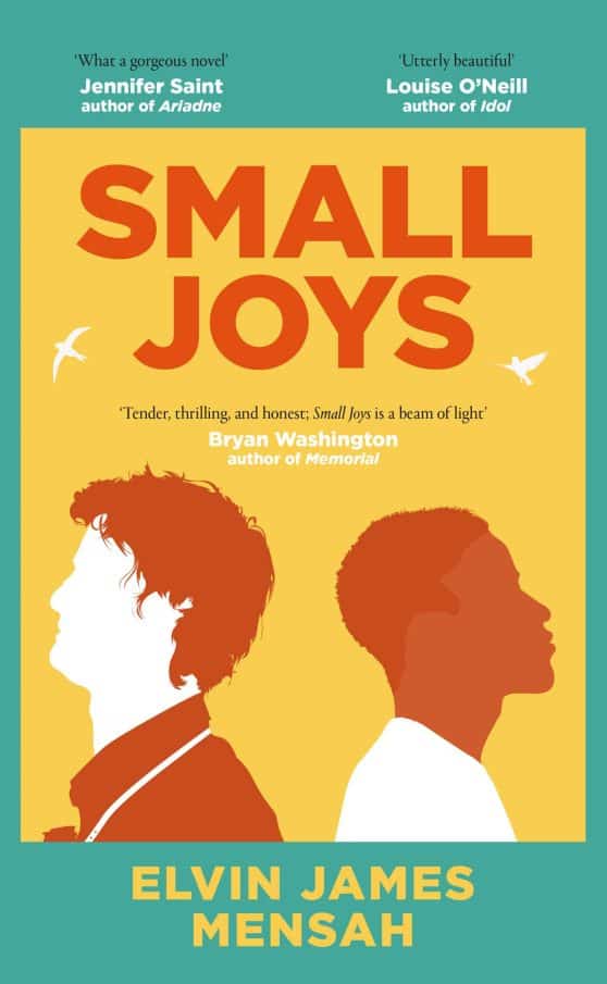 Small Joys: The most moving and uplifting debut novel of 2023