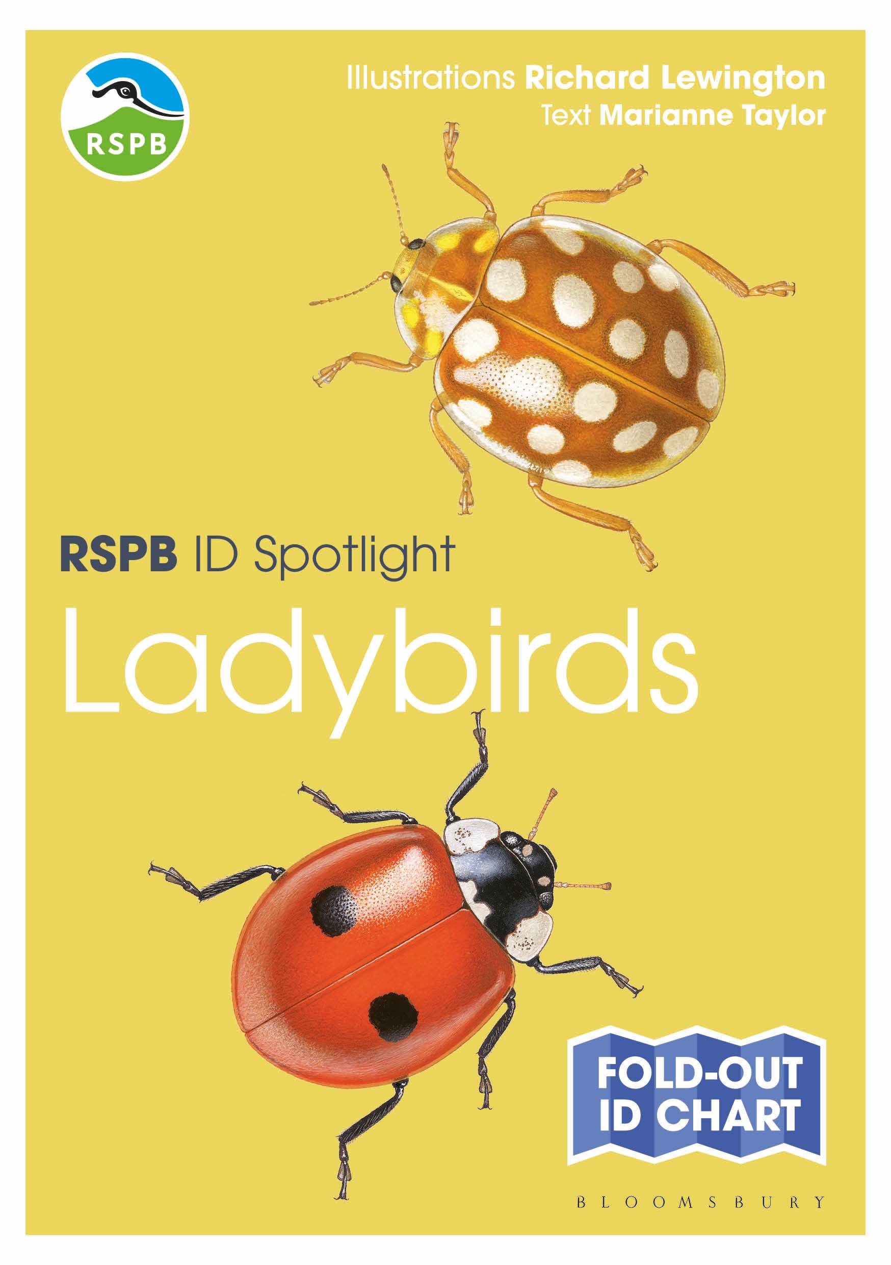 RSPB ID Spotlight - Ladybirds 1 RSPB ID Spotlight - Ladybirds