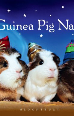 A Guinea Pig Nativity