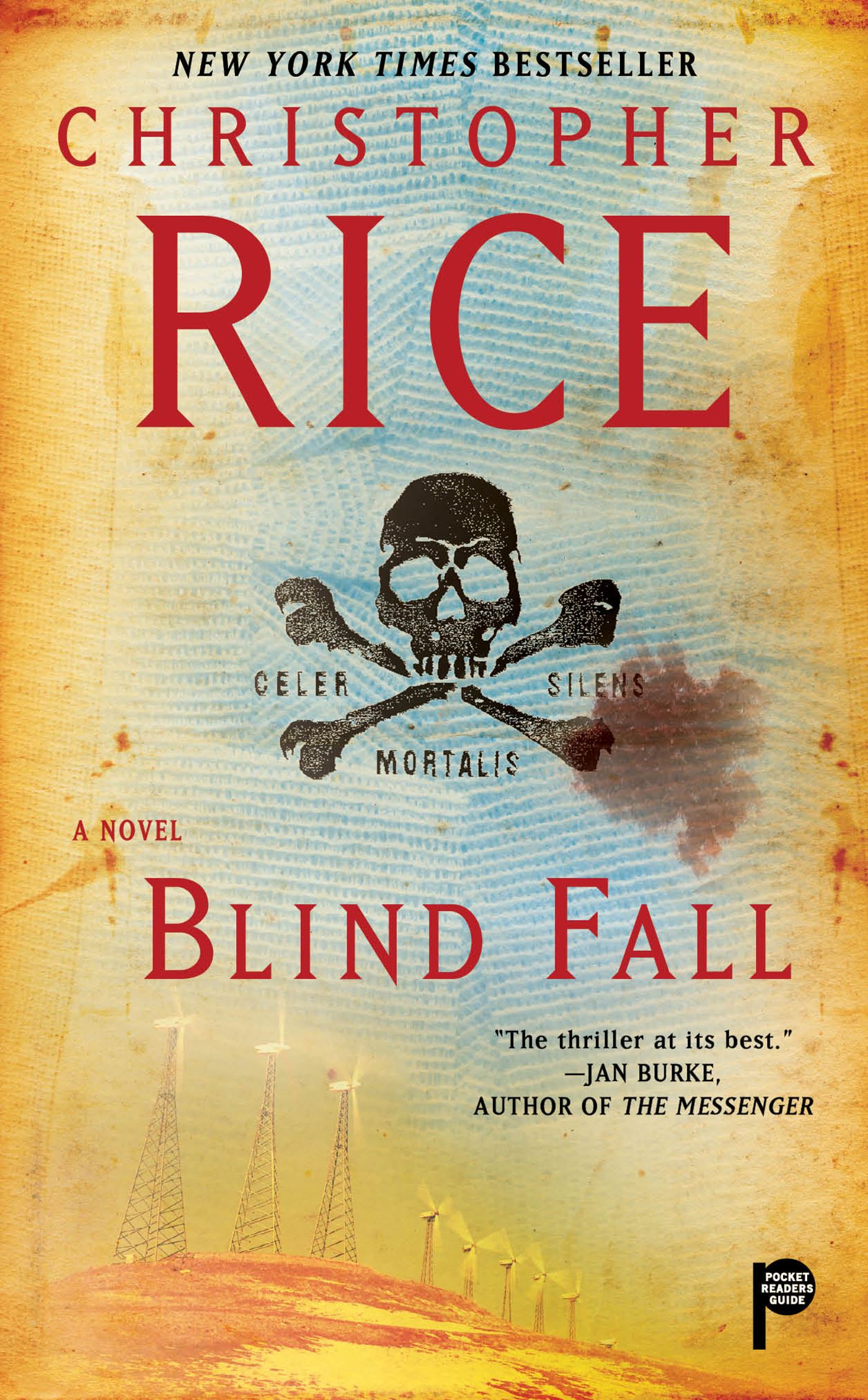 Blind Fall A Novel