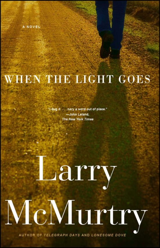 When the Light Goes A Novel