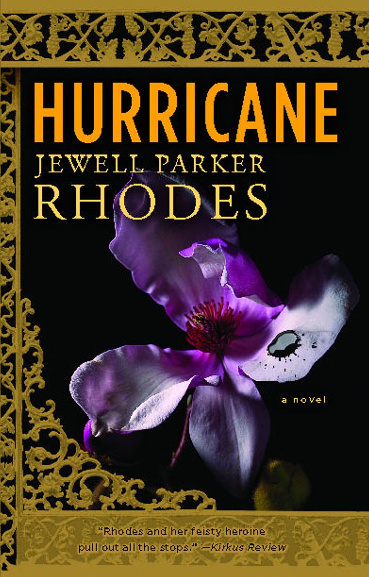 Hurricane A Novel