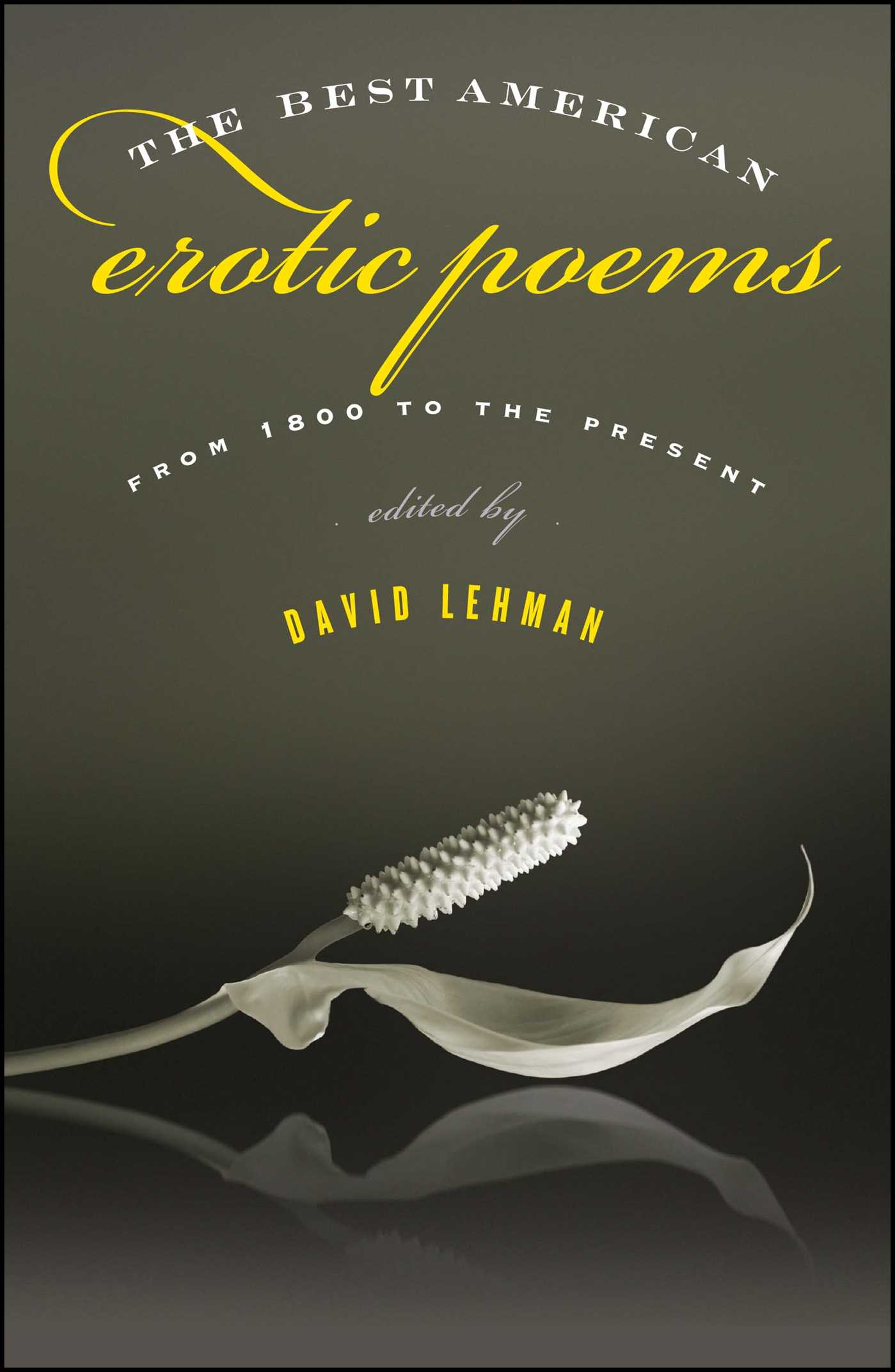 The Best American Erotic Poems  From 1800 to the Present
