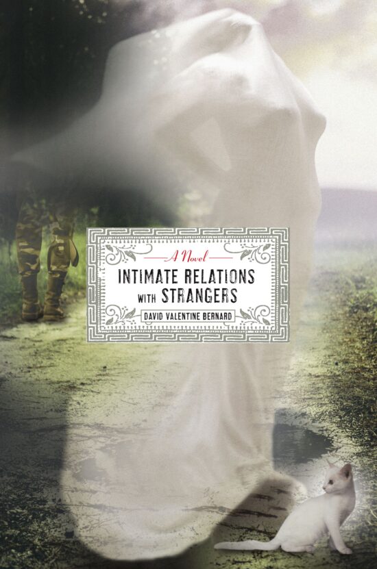 Intimate Relations with Strangers A Novel