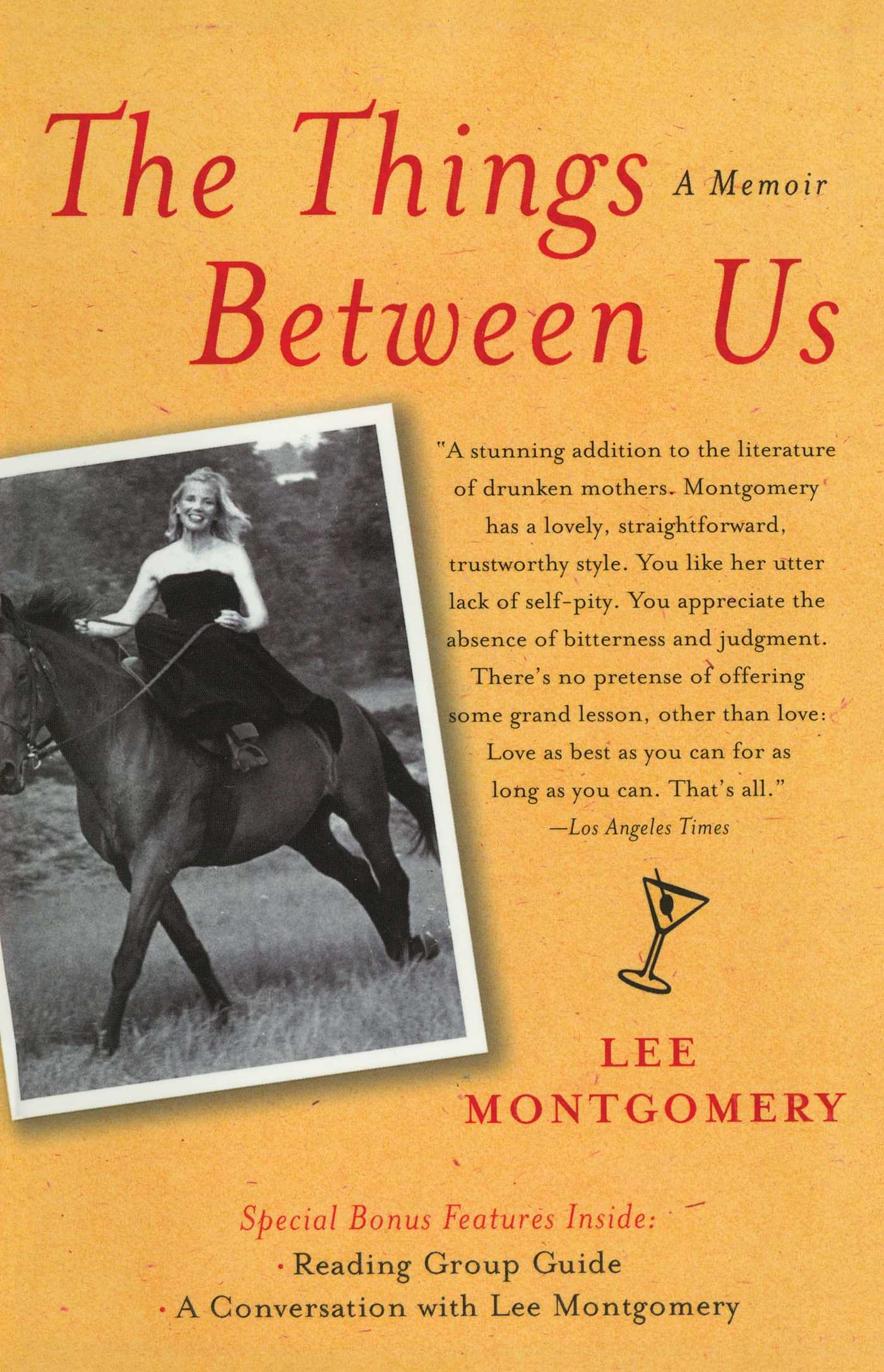 The Things Between Us  A Memoir